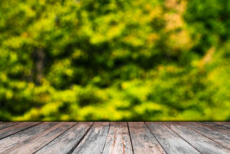summer background with wooden planksの写真素材