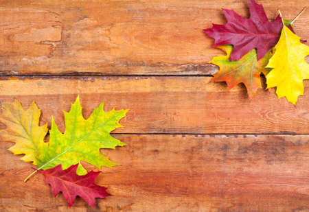 Beautiful autumn leaves on wooden backgroundの写真素材