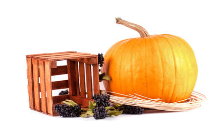 Autumn composition of pumpkin and berries on white backgroundの写真素材