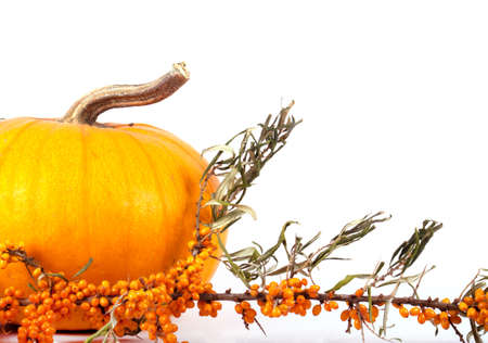 Autumn composition with pumpkinの写真素材