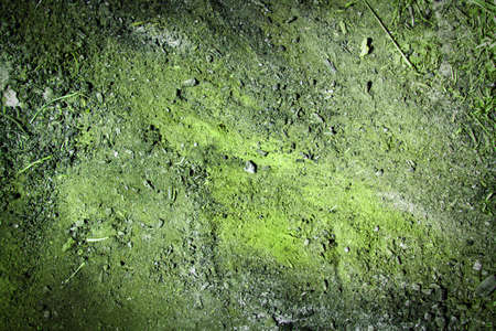 Designed grunge paper. Texture backgroundの写真素材