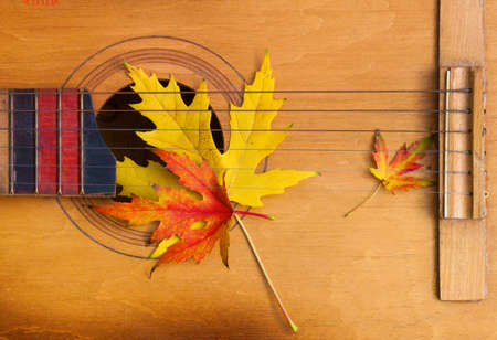 Guitar in autumn leaves. Autumn composition