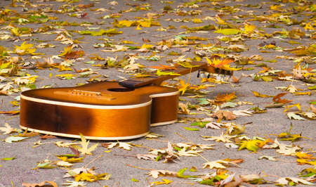 Guitar in autumn leaves. Autumn compositionの写真素材