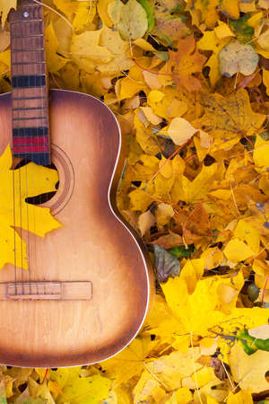 Guitar in autumn leaves. Autumn compositionの写真素材