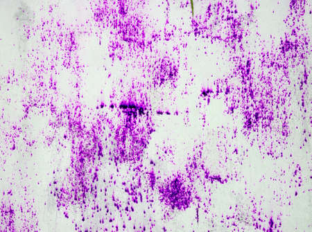 Old grunge wall textureの写真素材