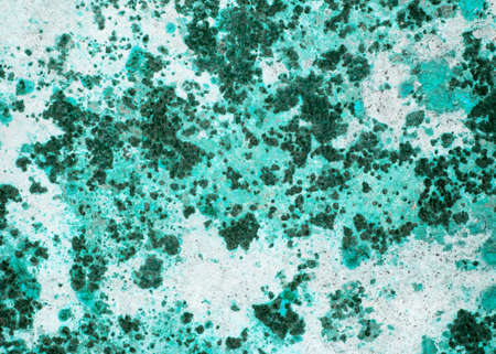 Old grunge wall textureの写真素材