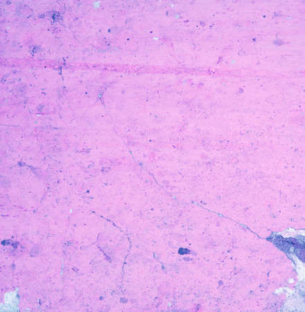 Old grunge wall textureの写真素材