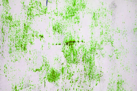 Old grunge wall textureの写真素材
