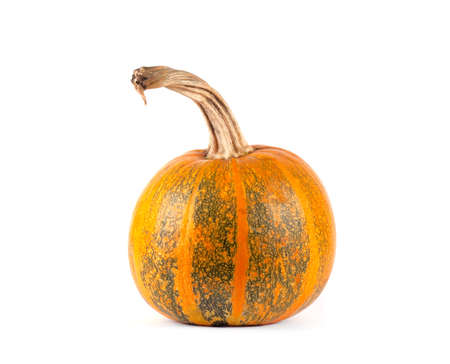Pumpkin isolated on white backgroundの写真素材