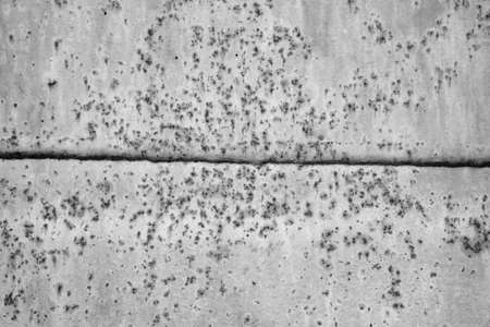 Old grunge wall textureの写真素材