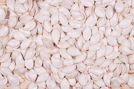 detail of pumpkin seeds backgroundの写真素材