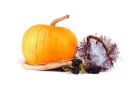 Autumn composition of pumpkins on white backgroundの写真素材