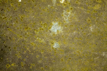 Old grunge wall textureの写真素材