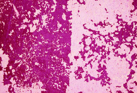 Old grunge wall textureの写真素材