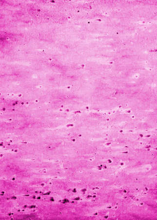 Old grunge wall textureの写真素材