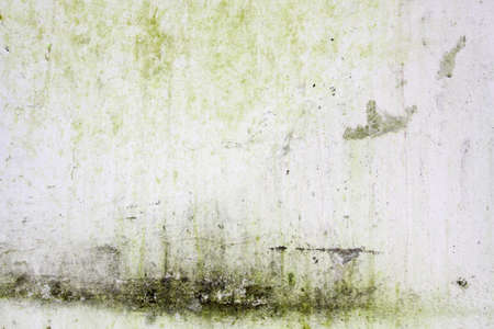 Old grunge wall textureの写真素材