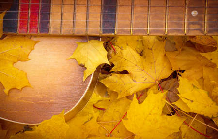 Guitar in autumn leaves.の写真素材