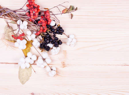 Christmas background with branches and berries on wood backgroundの写真素材