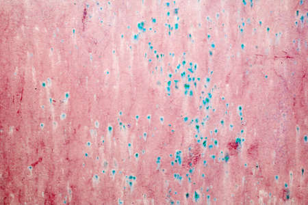 Old grunge wall textureの写真素材