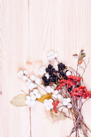 Christmas background with branches and berries on wood backgroundの写真素材