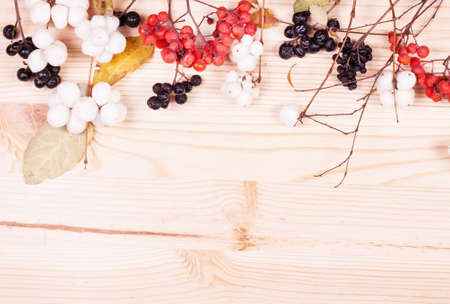 Christmas background with branches and berries on wood backgroundの写真素材
