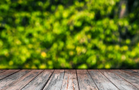 Natural green a blurred backgroundの写真素材
