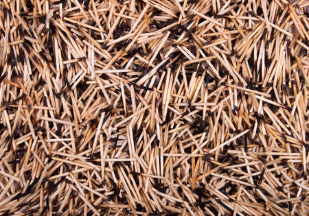 background of burnt matches. Close upの写真素材