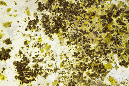 Designed grunge paper texture, backgroundの写真素材