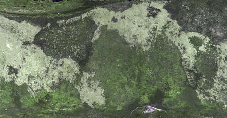 Designed grunge paper texture, backgroundの写真素材