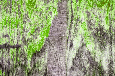 Designed grunge paper texture, backgroundの写真素材