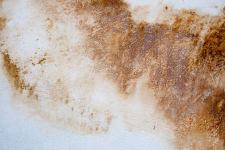 Designed grunge paper texture, backgroundの写真素材