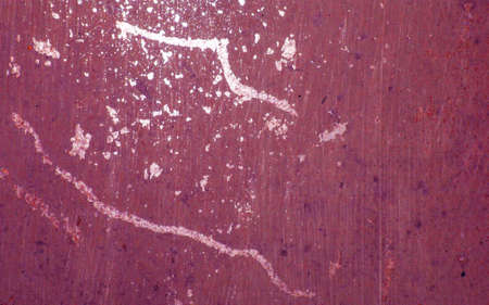 Designed grunge paper texture, backgroundの写真素材