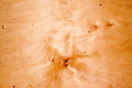 Designed grunge paper texture, backgroundの写真素材