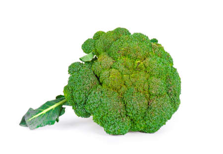 Broccoli isolated on white backgroundの写真素材