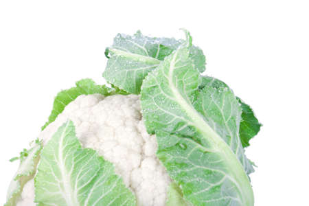 Cauliflower isolated on white backgroundの写真素材