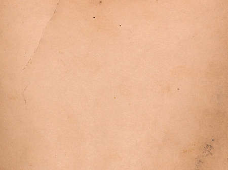 Back of an old photo. Texture backgroundの写真素材