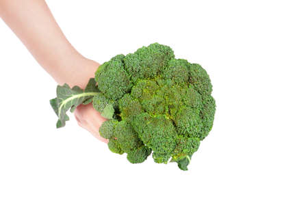 Broccoli isolated on white backgroundの写真素材