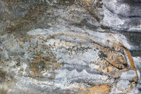 Old grunge wall texture backgroundの写真素材