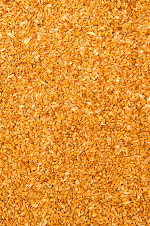 Processed organic wheat grainsの写真素材