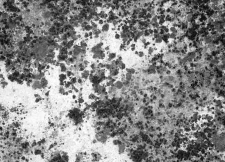 Old grunge wall texture backgroundの写真素材