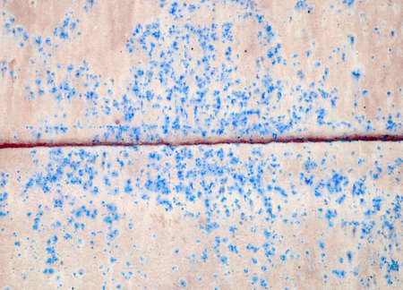 Old grunge wall texture backgroundの写真素材