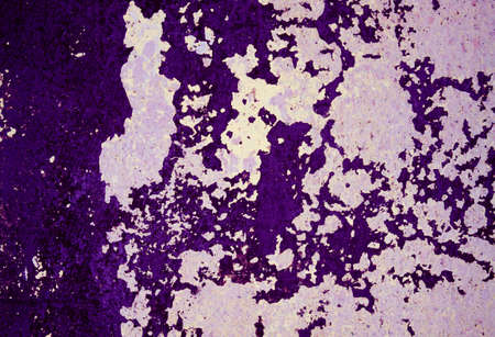 Old grunge wall texture backgroundの写真素材