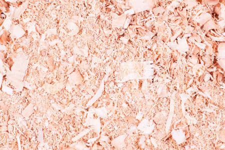 Closeup of a heap of shredded wood from branches pruned in the spring season.の写真素材