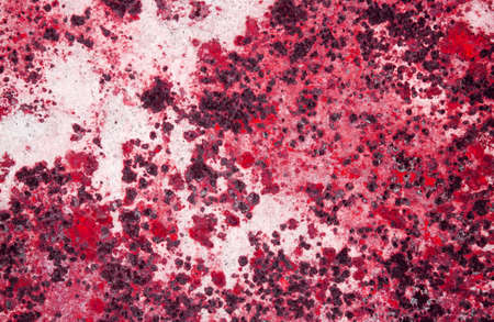 Designed grunge paper texture, backgroundの写真素材