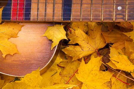 Guitar in autumn leaves. Autumn compositionの写真素材
