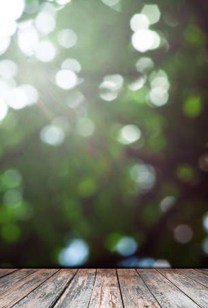 Abstract blur nature background