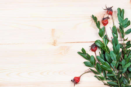 Fresh briar on a wooden background. Wild rose.の写真素材