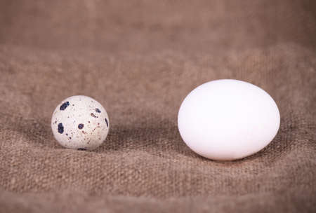 Quail egg next to chicken egg series. Conceptの写真素材