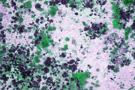 Designed grunge paper texture. Billboard surface. Background