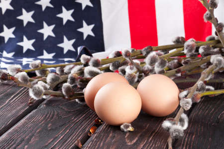 willow branch and egg on american flag background